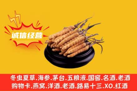 武威古浪县回收冬虫夏草